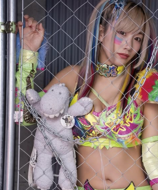 「完璧！パーフェクト」美女レスラー、金網越しの"ビューティー・ファイターショット"を披露！ファン釘付け