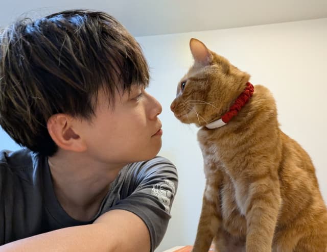 「超至近距離まで甘えに来る」松丸亮吾と愛猫リドの微笑ましい瞬間が話題に