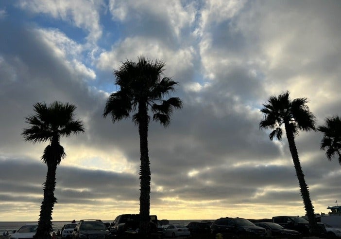 ダルビッシュ有の妻・聖子さんが産後23時間で退院、かかりつけ医へ