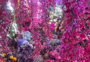 【話題沸騰】アンミカが夫婦で京都へ！蜷川実花の幻想世界に「時間を忘れる没入体験」と感動の声！