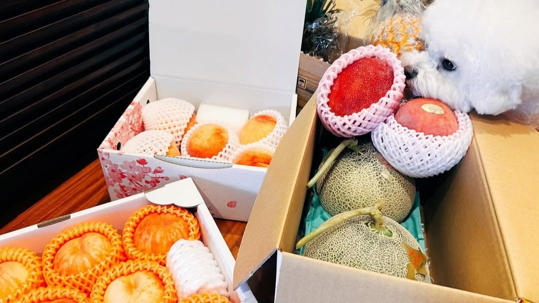 夏フェス前の“甘い充電”…歌姫が見せた至福のフルーツタイム