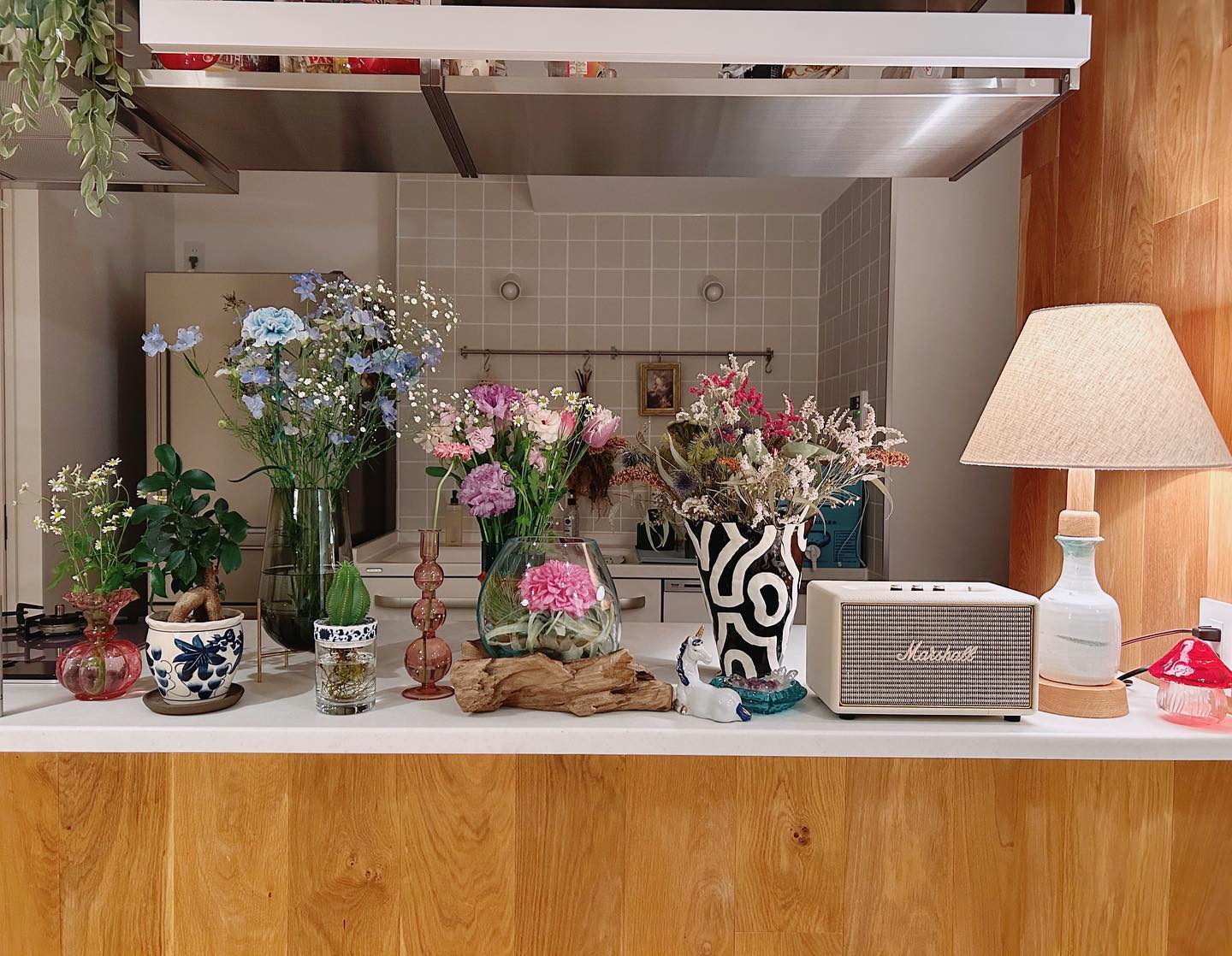 新婚のきゃりーぱみゅぱみゅがキッチン公開😳💗オシャレすぎると話題に💭