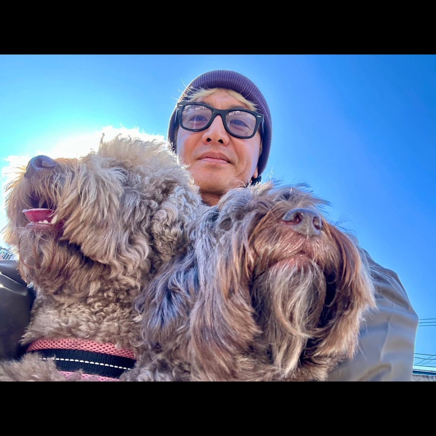 木村拓哉、愛犬2匹と恒例の散歩へ🐶歩いた歩数は驚異の〇〇歩！？