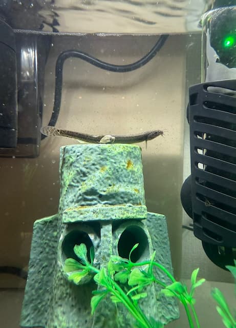 「◯◯◯◯と◯◯◯休憩中」やす子の“ほんわか”オフショットが癒されると話題！