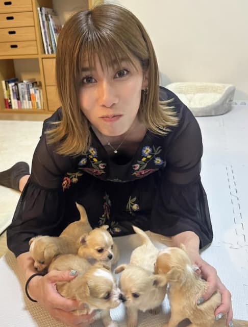 「BIG LOVE」吉田沙保里が子犬たちと戯れる