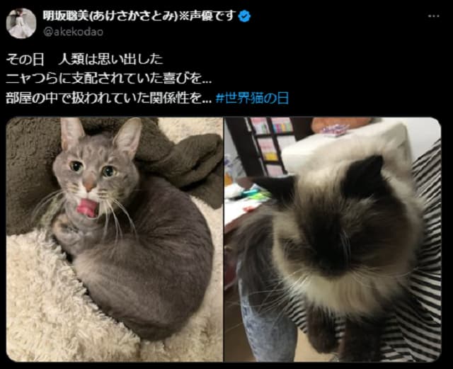 「すっかりネコ様の下僕ｗ」美人声優が投稿したネコ画像が可愛い！