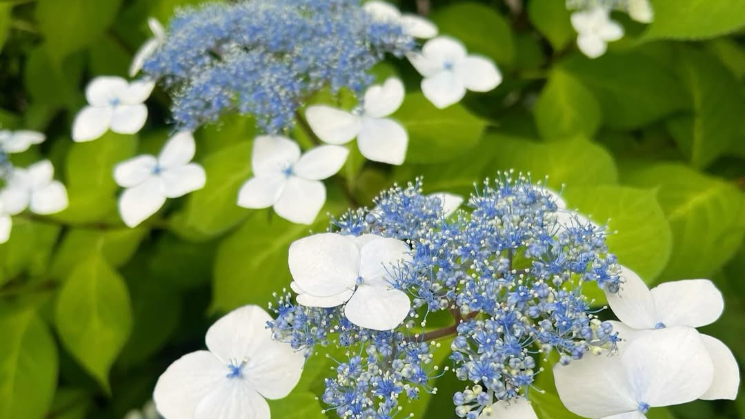 久慈暁子、引っ越ししたことを報告！！