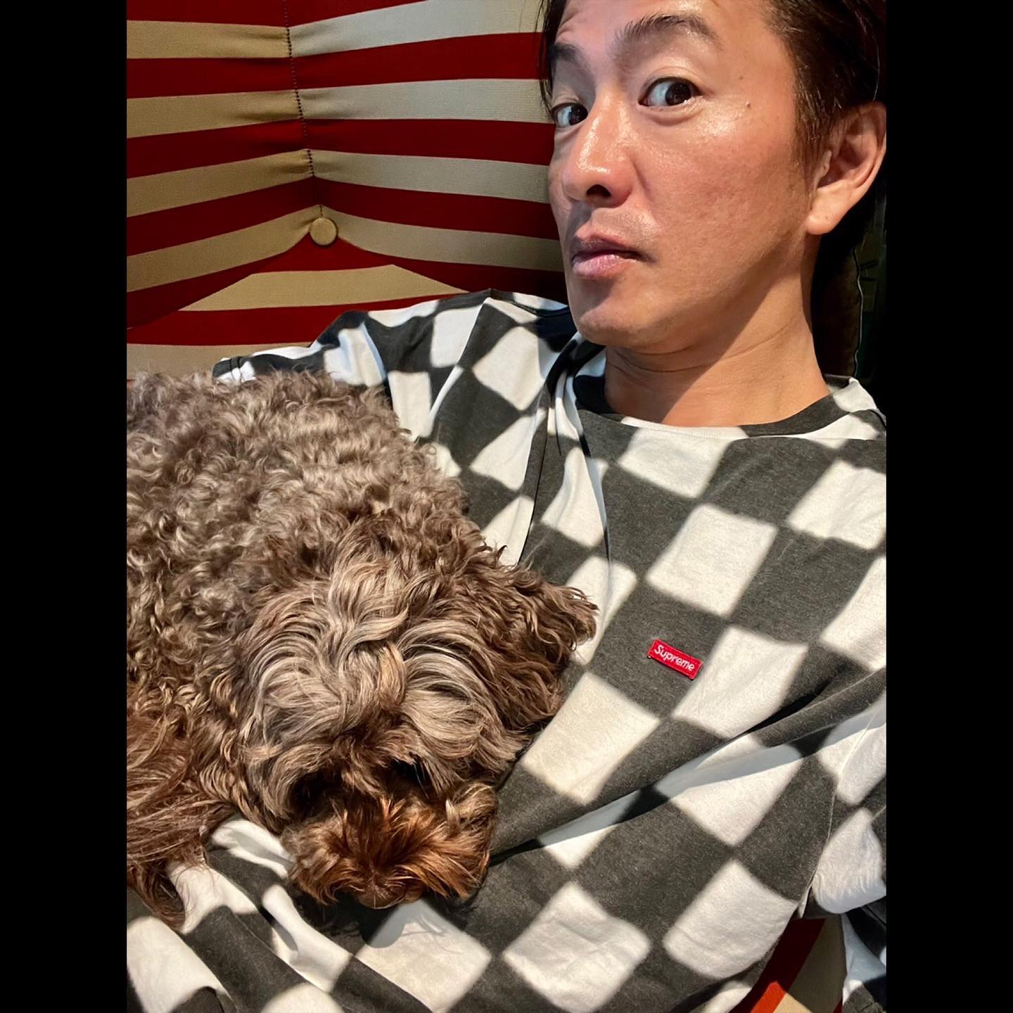 木村拓哉さんが愛犬と格闘技観戦⁉︎「勝ち負けはあるものの、両者に拍手です❕」