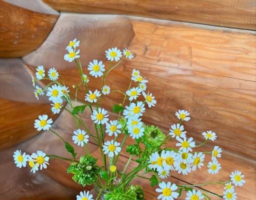 夏木マリ、誕生日に奇跡を重ねる感謝と花に込めた静かな喜び