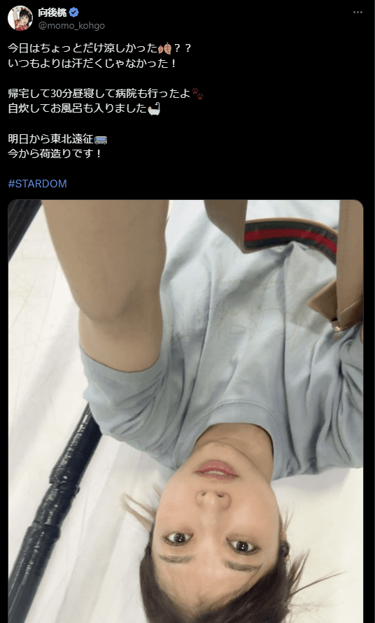 STARDOM 向後桃、東北遠征前に準備万端！「明日から東北遠征🚌今から荷造りです！」