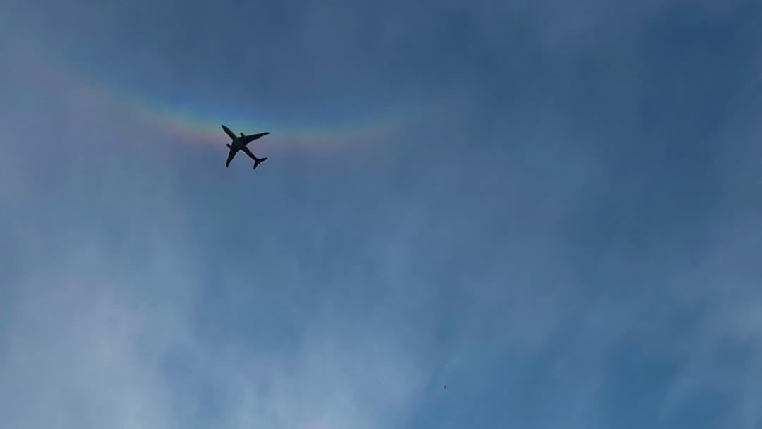 あの五輪体操メダリストが感じた“揺らぎ”とは