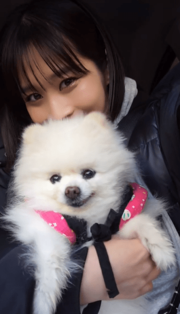 人気グラドル高橋凛、「家族で新潟の寺泊」へ！愛犬とのラブラブほっこりムービーが話題！