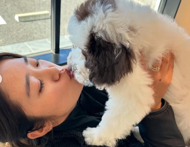 稲見萌寧、新しい家族スパイクくんをお披露目！癒しの投稿に期待