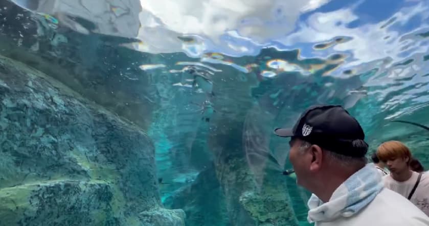 「近くで見れる動物には迫力を感じた！」元プロ野球選手・高木豊、妻と超久々の旭山動物園へ！