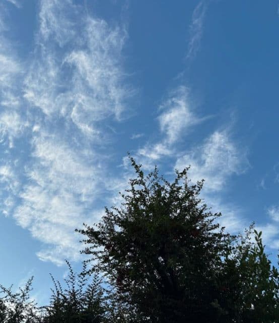 料理家 栗原はるみ 蕎麦屋さんのかき揚げに感動！「お蕎麦屋さんのかき揚げはさすがプロ！」