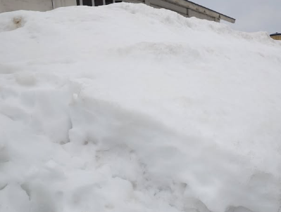 桂宮治、早朝から冬景色を満喫「6時半に起きて、今ここ」