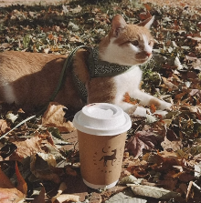 紗栄子、那須ファームビレッジで秋を満喫「那須に秋が来た～」