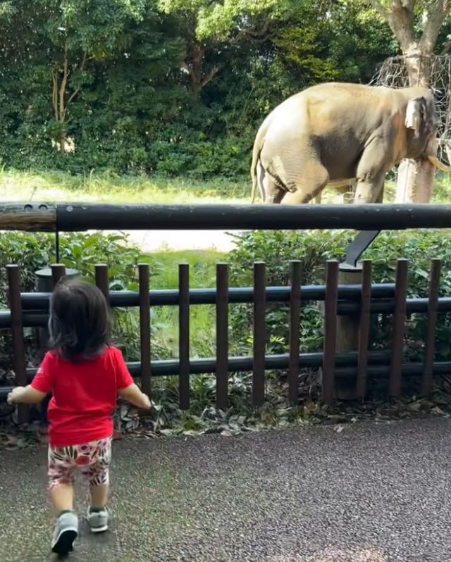 丸山桂里奈が家族でズーラシアへ！「癒され動画すぎる」の声