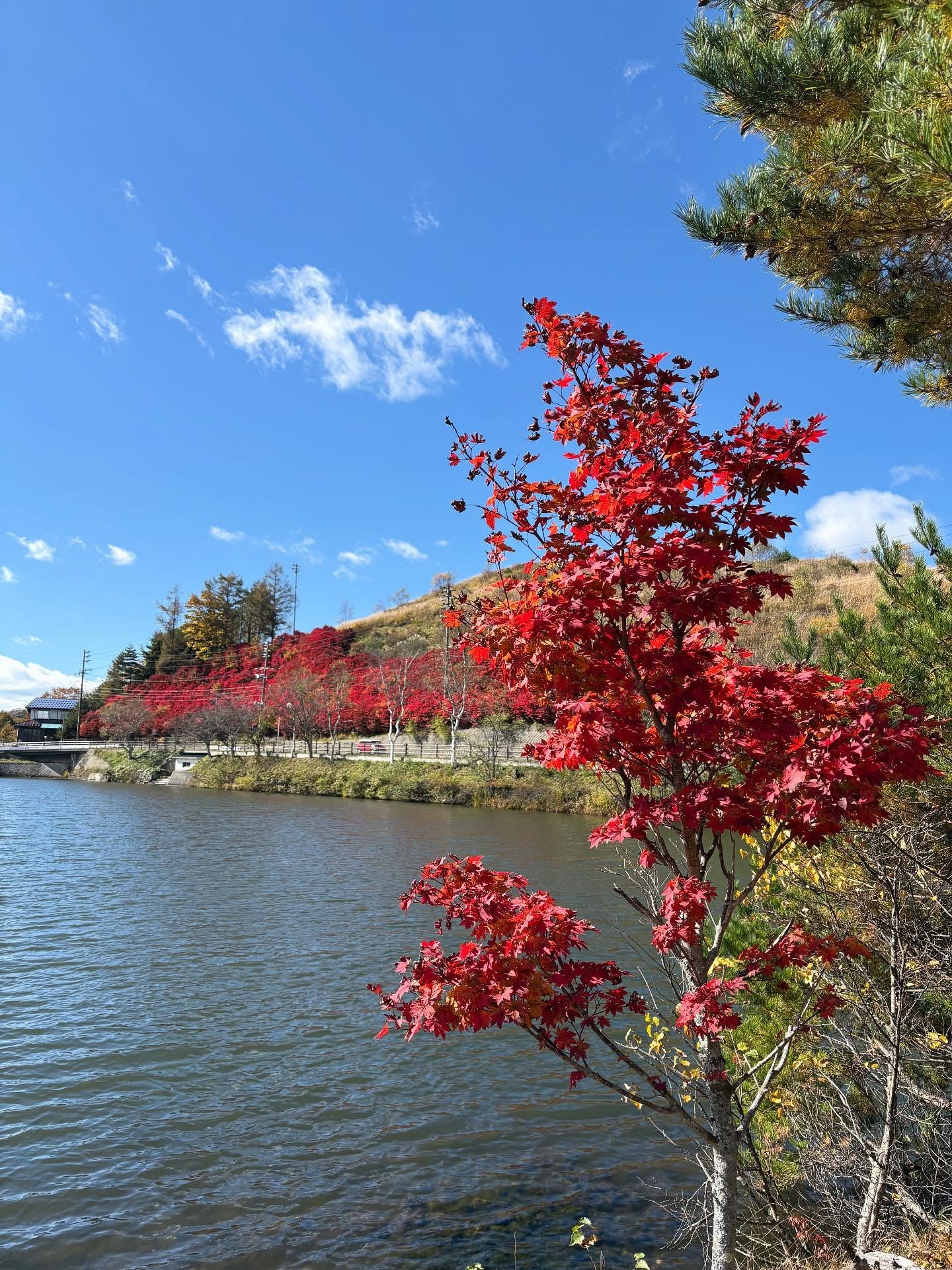 あの美人バレー選手の“自然と過ごす休日”にファン「癒やされる」「最高のオフ」