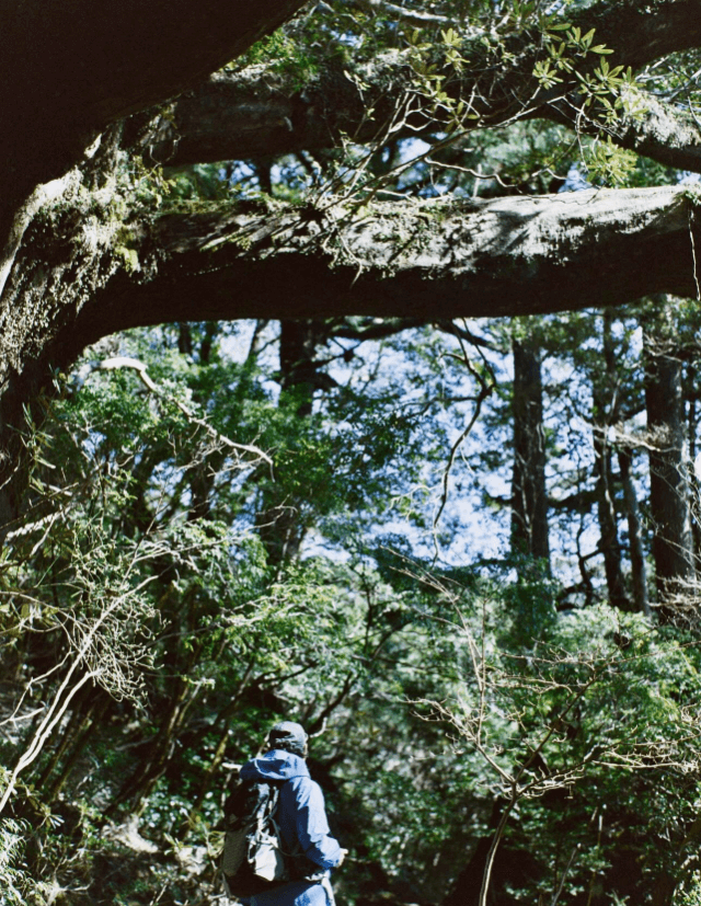 井浦新、屋久島で自然と一体に！「深山幽谷を駆ける」神秘的な瞬間をシェア