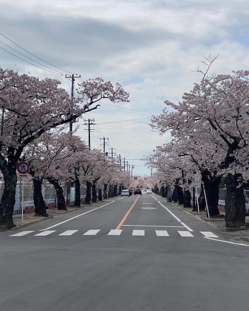 丸山桂里奈が3.11を振り返る「決して忘れずに伝え続けていく」