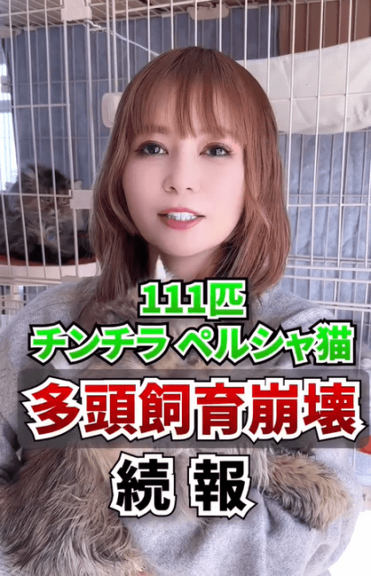 中川翔子、緊急拡散していた