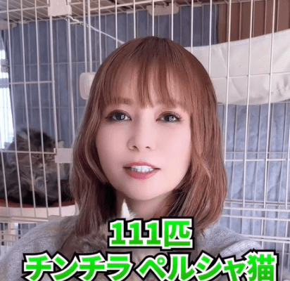 中川翔子、緊急拡散していた