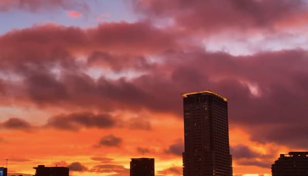 蜷川実花、幻想的な夕陽ショットを披露！ファンの心もうっとり