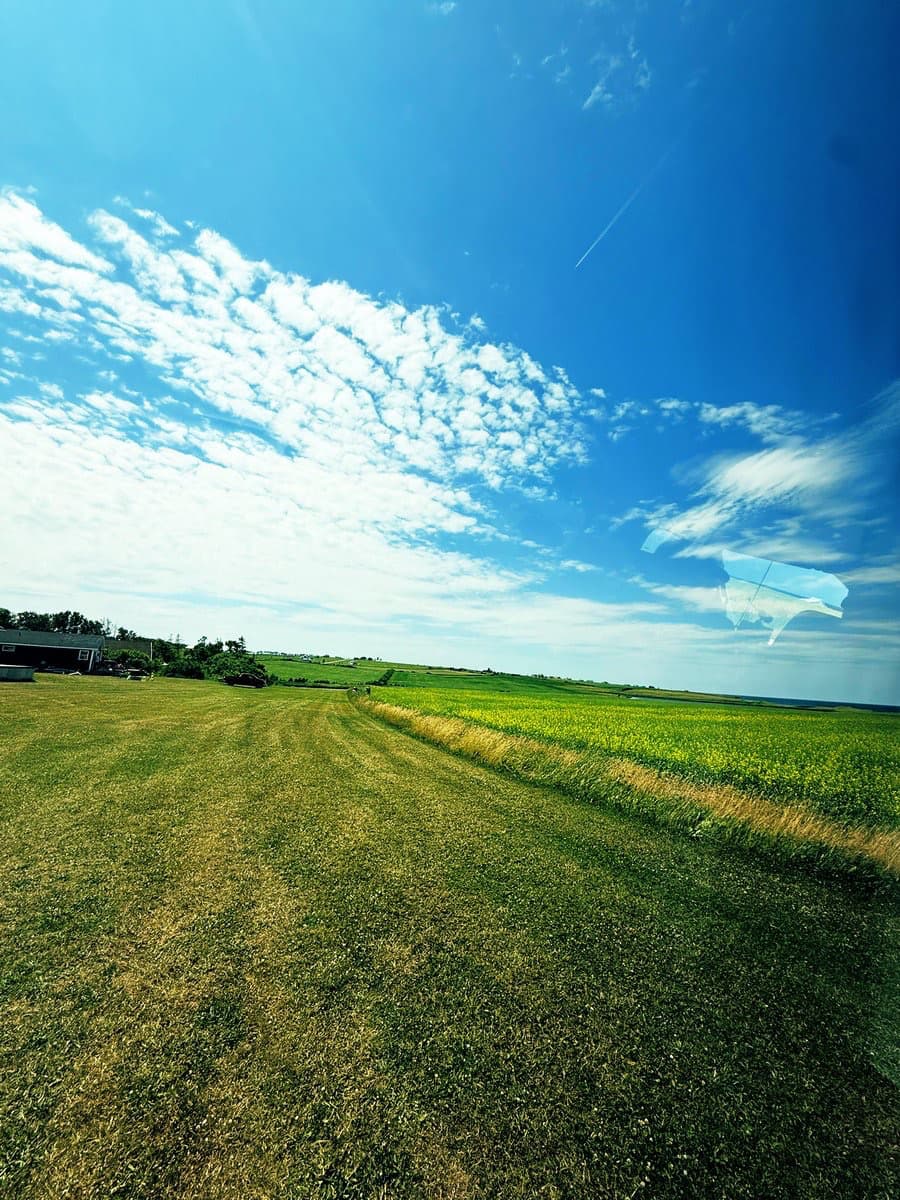 “この道、最高！”　吉高由里子が自然あふれる風景を投稿