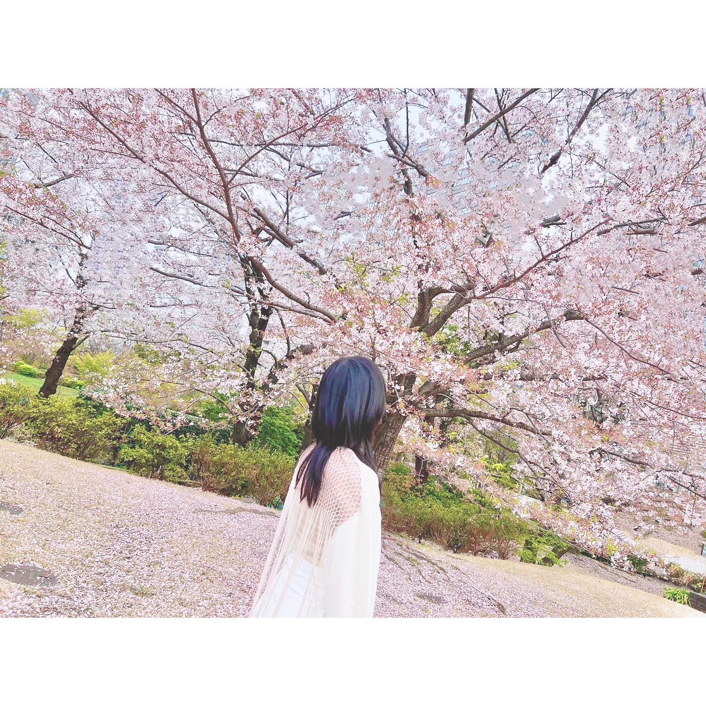 半年限定開設✨大人気声優・佐倉綾音の公式インスタグラム😎