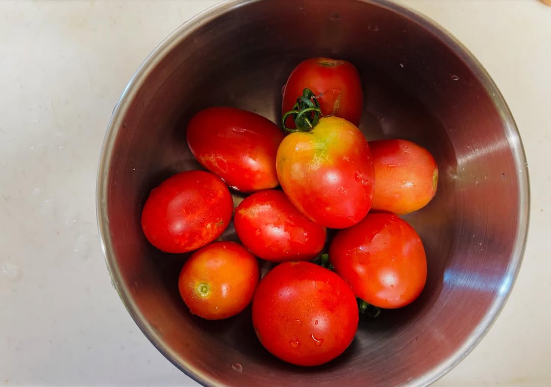 にしおかすみこが〇〇を持ってお散歩！