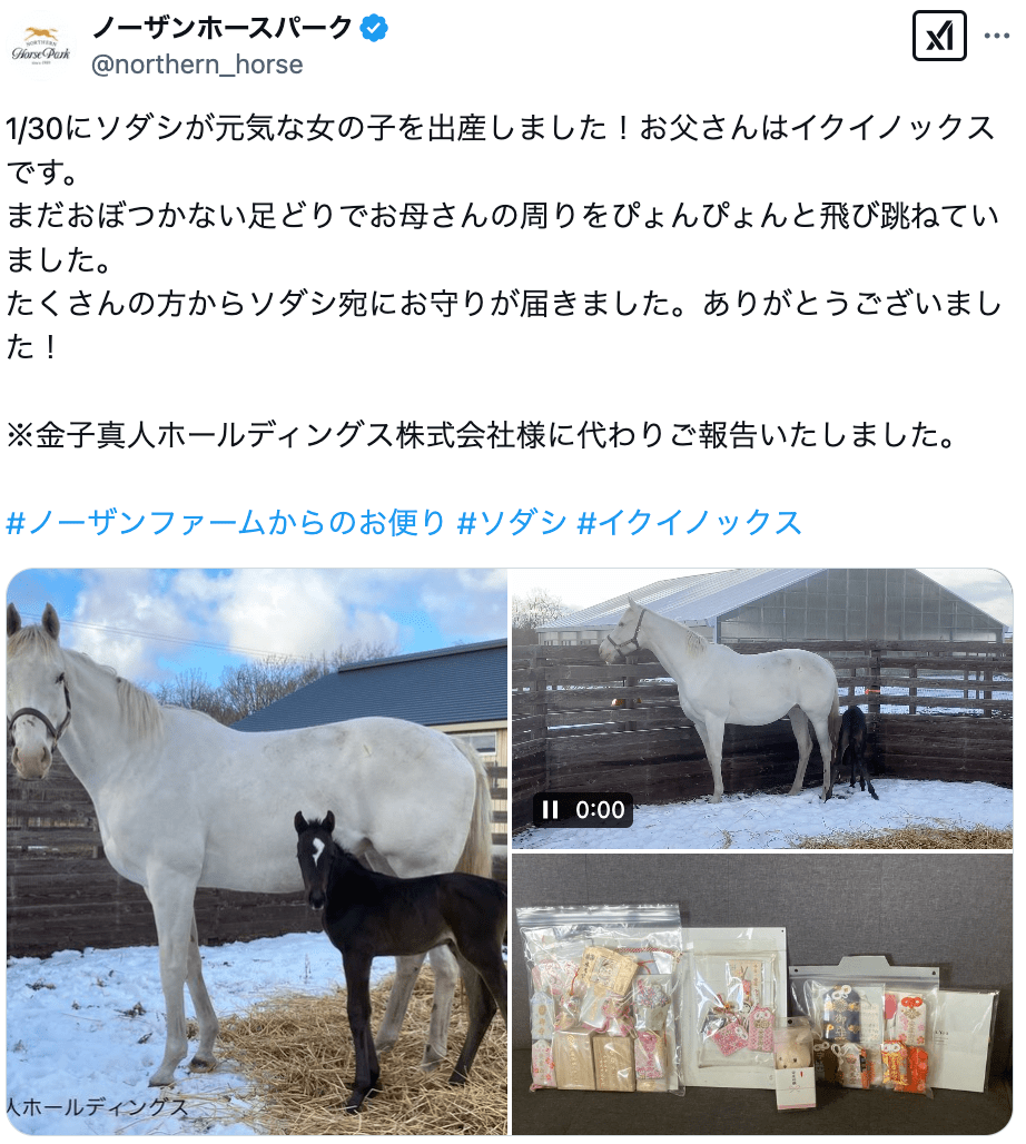 名牝ソダシがイクイノックスの仔を出産