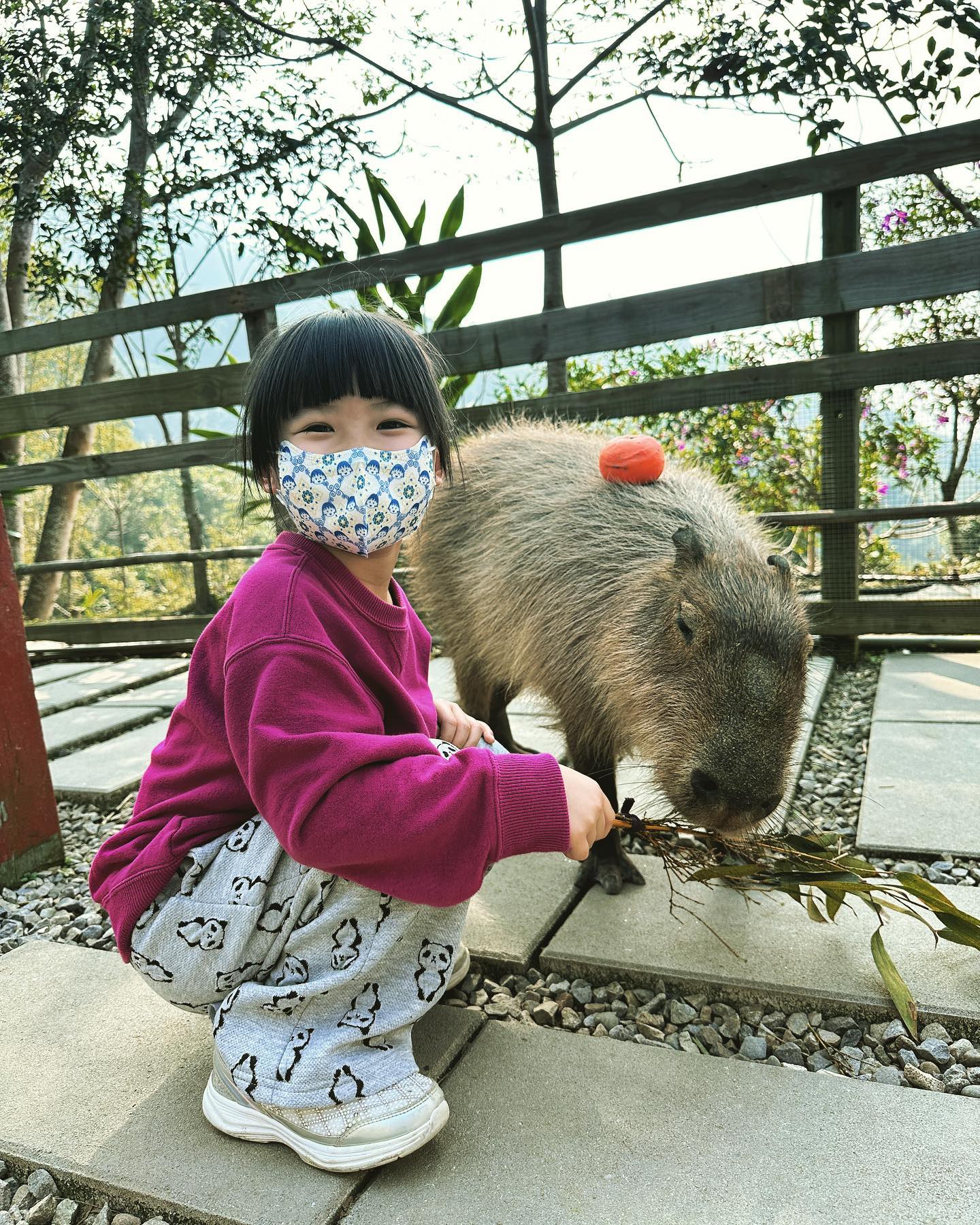福原愛の元夫・江宏傑 長女と動物園デート「パパといつも一緒」「可愛いお姫様」と反響