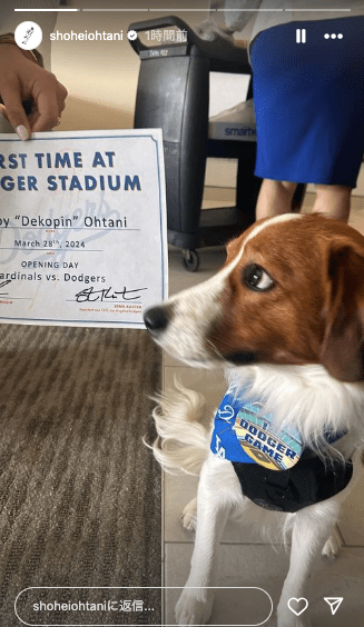 大谷翔平が愛犬デコピンの初観戦ショットを大公開！