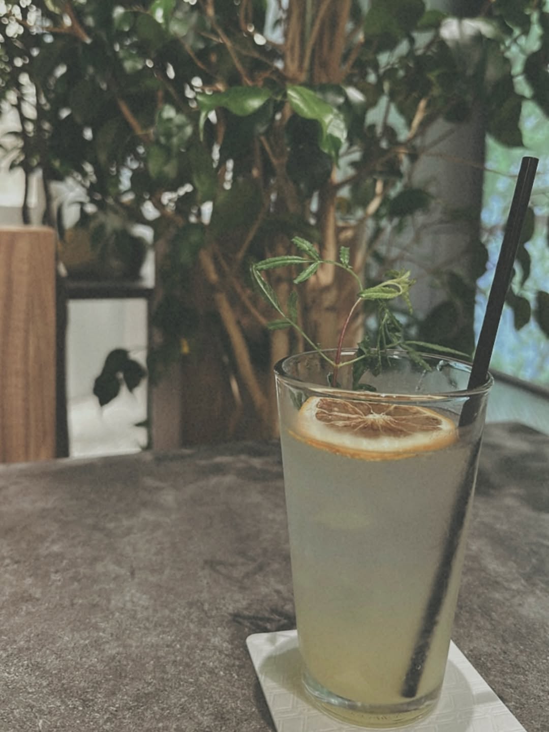 松島聡、自然に包まれたカフェで心もリフレッシュ「癒されました」