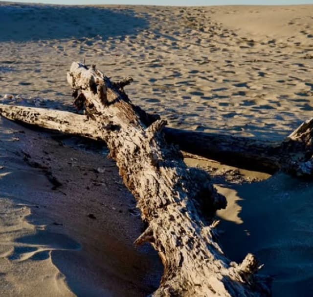 「砂浜シリーズ素敵」SixTONES・京本大我の写真が「考えが巡る作品」と話題に！