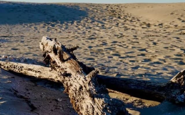 「砂浜シリーズ素敵」SixTONES・京本大我の写真が「考えが巡る作品」と話題に！