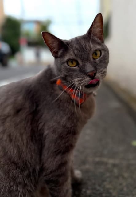 長瀬智也 マッチングアプリに興味あり！？「オレのアカウント作成はできないってこと!?」