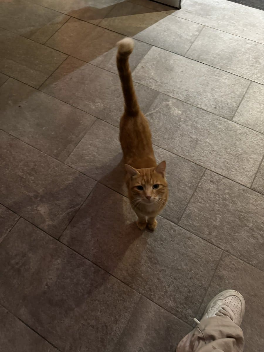 山下智久がサマータイム期間終了の報告