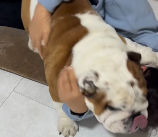 デンジャラス・クイーン、まさかの敗北！？北斗晶マウントとられる！