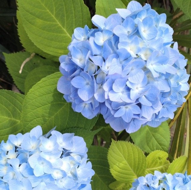 「九州は梅雨入り、沖縄は梅雨明けだよ」くぼてんきが季節の便りをお届け！