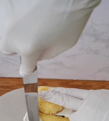 「食べるのもったいない！」お菓子絵本作家が作った”まん丸なアザラシのケーキ”が可愛すぎると反響！