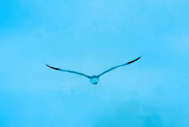 「進撃の巨人」アニメ完結、エレン声優・梶裕貴の投稿に国内外からコメント殺到