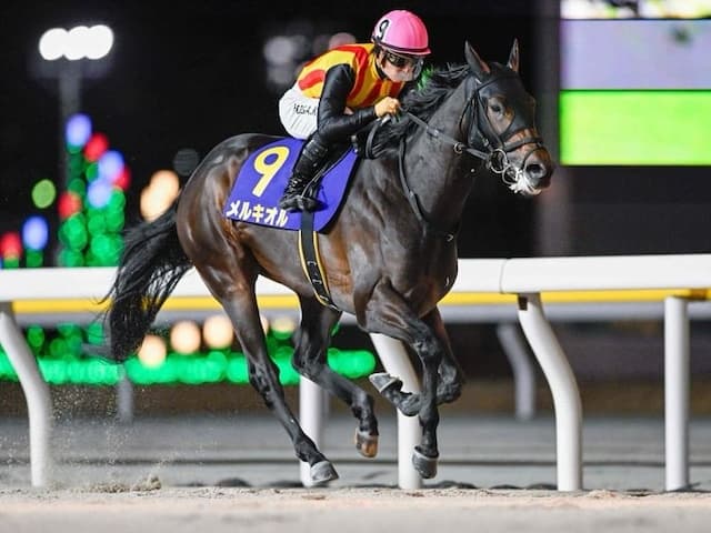 川田将雅、ブルーバードカップの勝利報告「１つ１つ、無事に重ねて行けたら。」