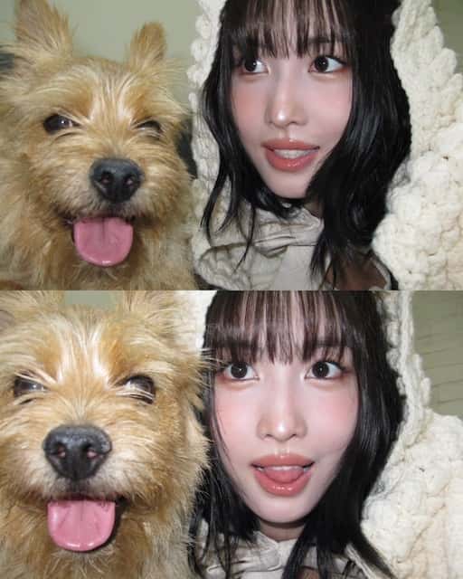 韓国の人気アイドルが可愛すぎる犬とのツーショット披露で反響続々