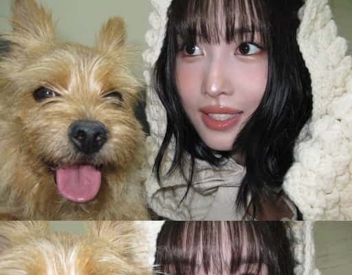 韓国の人気アイドルが可愛すぎる犬とのツーショット披露で反響続々