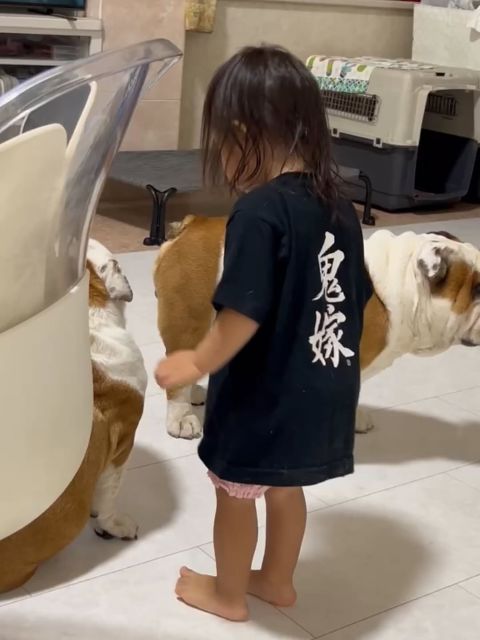 タレント・北斗晶 「鬼嫁Tシャツ」を着た孫の写真を披露「Tシャツピッタリで可愛い」と話題に！