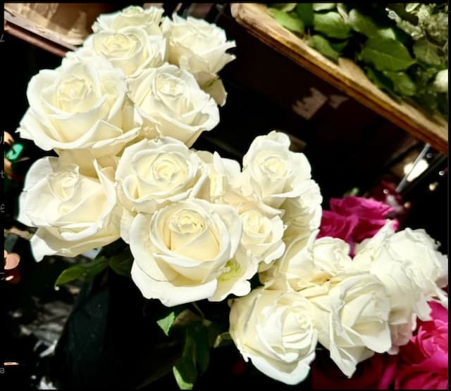 夏木マリ、新総裁への期待を投稿！