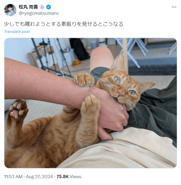 「離れようとする素振りを見せるとこうなる」人気タレントが愛猫のしぐさにメロメロ！