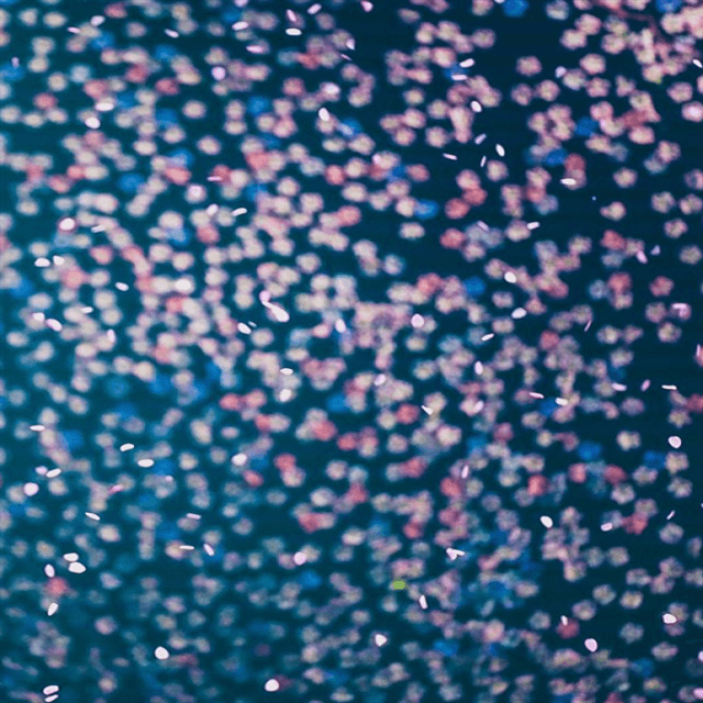 生田斗真生誕記念！東京公演初日、バサラオ明治座にて待つ